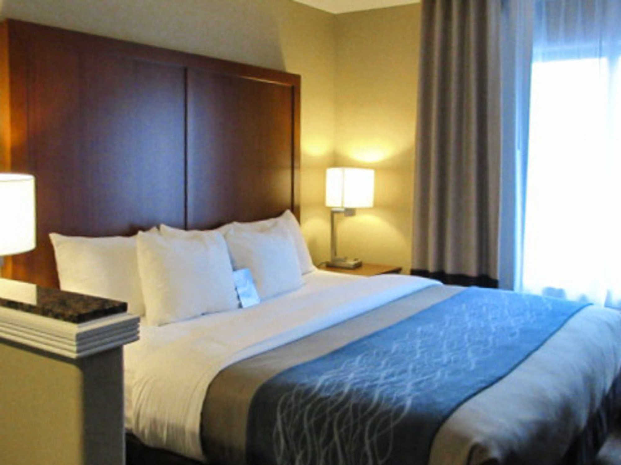 Comfort Inn & Suites Airport-American Way Memphis Room photo